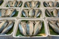 Wrapped steamed mackerels on leaf banana in foam food tray in food market at Bangkok, Thailand.
