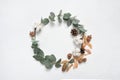 Wreath autumn Eucalyptus leaves and acorn, cone frame on white background with place for your text. Flat lay, top view