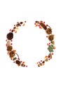 Wreath of Autumn Flora Nuts and Berry Fruit Royalty Free Stock Photo
