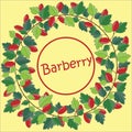 Wreath of barberry