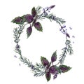 Wreath of basil, rosemary, thyme and sage. Watercolor illustration Royalty Free Stock Photo