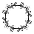 A wreath of blooming apricot branches. Vintage Insulated Element Round Frame Blooming Tree Branch with Black Line on White, Hand- Royalty Free Stock Photo