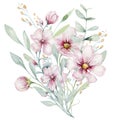 Wreath of blossom pink cherry flowers in watercolor style with white background. Set of summer blooming japanese sakura