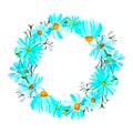 a wreath of blue camomile watercolor isolated