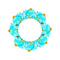 a wreath of blue camomile watercolor isolated