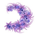 Wreath of blue-pink lilies on a white background. Illustration of summer flowers in watercolor style. Royalty Free Stock Photo