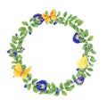 Wreath of blue wisteria and yellow butterflies. Clitoria ternatea, Fluttering lepidoptera. Green leaves, flowers, buds