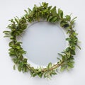 Wreath Of Blueberries Leaves Royalty Free Stock Photo