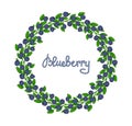 A wreath of blueberries. Ornament leaves and berries of bilberries on a branch. Decorative element Forest plant