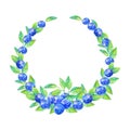 Wreath of a blueberry.