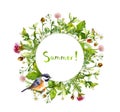 Wreath border frame - summer herbs, meadow flowers, cute bird. Watercolor