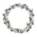 Wreath border frame with summer herbs, meadow flowers.