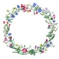 Wreath border frame with summer herbs, meadow flowers.