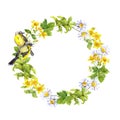 Wreath border - two birds. Meadow flowers, grass. Watercolor circle frame Royalty Free Stock Photo