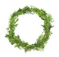 A wreath of boxwood and thuja twigs isolated on white background. Frame, copy space.