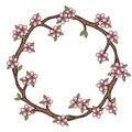 The wreath of cherry blossom branches. Sakura flowers.