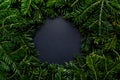 Wreath of Christmas tree branches with a black place