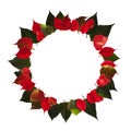 Wreath, circle of poinsettia leaves in green and red, decoration for christmas