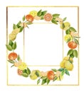 A wreath of citrus mandarin fruits and lemons, in a golden square frame.Watercolor drawing,