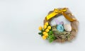 A wreath with a cute handmade Easter Bunny and an egg in the nest, yellow spring flowers on a white background. Royalty Free Stock Photo