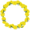 Wreath from dandelions