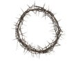 Wreath of dry twigs of thorns with thorns and without leaves isolated on white background Royalty Free Stock Photo