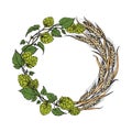 A wreath of ears of wheat and hops Royalty Free Stock Photo