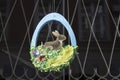 Wreath with Easter bunny on the door Royalty Free Stock Photo