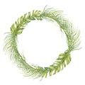 Wreath with exotic tropical green leaves composition. Hand drawn copy space watercolor isolated on white background. Botanical Royalty Free Stock Photo