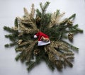 on a wreath of fir branches and cones of gold color lies and sleeps on the head of Santa Claus dog - the symbol of the 2018 New Y Royalty Free Stock Photo