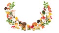 A wreath of forest mushrooms top view. Flat lay of edible mushrooms with copy space. Variety of forest mushrooms, berries, plants