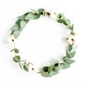 Wreath frame made of branches eucalyptus, leaves and cotton isolated on white background. flat lay, top view Royalty Free Stock Photo