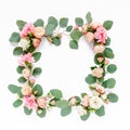 Wreath frame made of branches eucalyptus, pink roses and leaves isolated on white background. lay flat, top view Royalty Free Stock Photo
