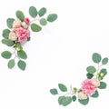 Wreath frame made of branches eucalyptus, pink roses and leaves isolated on white background. lay flat, top view Royalty Free Stock Photo