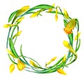 Wreath of garden flower snd young green grass.