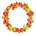 Wreath of grape leaves and physalis. Watercolor illustration isolated on white background. Hand-drawn autumn wreath