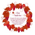 Wreath of grapes and grape leaves hand drawing on white background