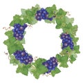 Wreath of grapes 3
