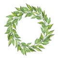 Wreath of green leaves. Foliage frame. Branches border. Watercolor illustration for congratulations, invitations, cards