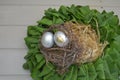 Wreath of green leaves with silver eggs in the nest. easter plants Royalty Free Stock Photo