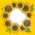 Wreath with Hand drawn sunflowers round frame. Rustic floral background. Vector botanical illustration in watercolor style. Royalty Free Stock Photo