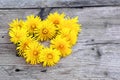 Wreath in heart shape made from dandelions on weathered wood Royalty Free Stock Photo