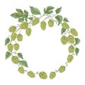 Wreath with hops. Floral composition with hop cones, leaves and branches.