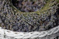 A wreath of lavender flowers in a white basket with selective focus on a blurred background. Copy space Royalty Free Stock Photo