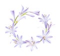 Wreath from little purple flowers isolated on white