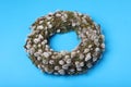 Wreath made of beautiful willow flowers on light blue background Royalty Free Stock Photo