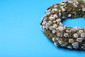 Wreath made of beautiful willow flowers on light blue background, closeup. Space for text Royalty Free Stock Photo