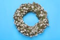 Wreath made of beautiful willow flowers on light blue background, top view Royalty Free Stock Photo