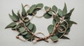 A wreath made of eucalyptus leaves (Eucalyptus spp.) is arranged in an oval shape against a Royalty Free Stock Photo