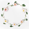 Wreath made of flowers. beautiful composition pink chrysanthemums and green leaves on a white background.minimal concept, square
